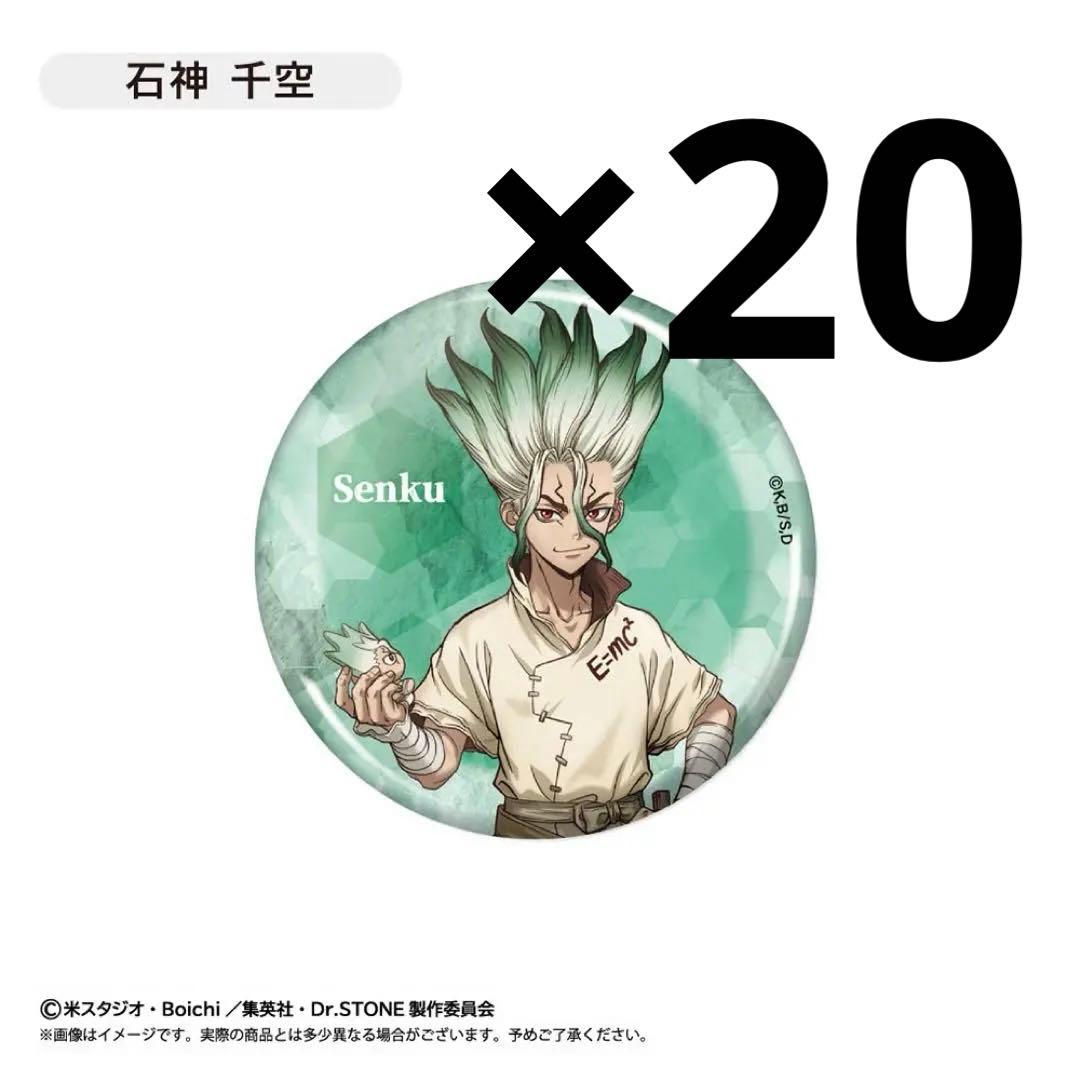 Dr.STONE 石神千空 ドクスト GIGO 缶バッジ 20点