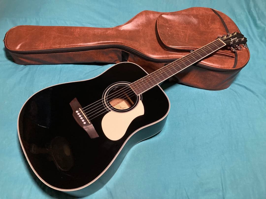 James J-450D/Ova BLK ジェームスエレアコギター