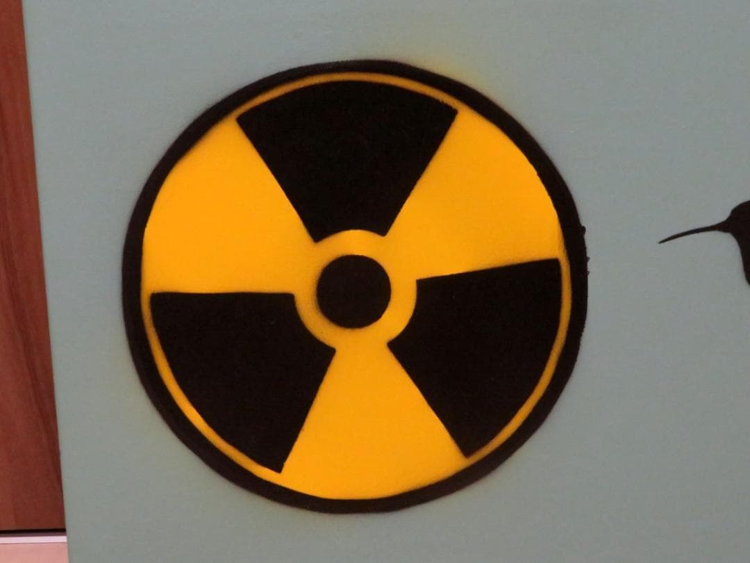 Beejoir ビジョア Radiation Bird 10枚限定 キャンバス