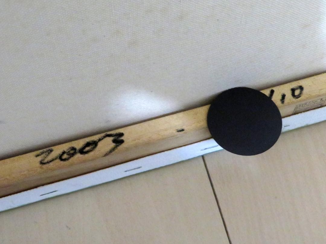 Beejoir ビジョア Radiation Bird 10枚限定 キャンバス