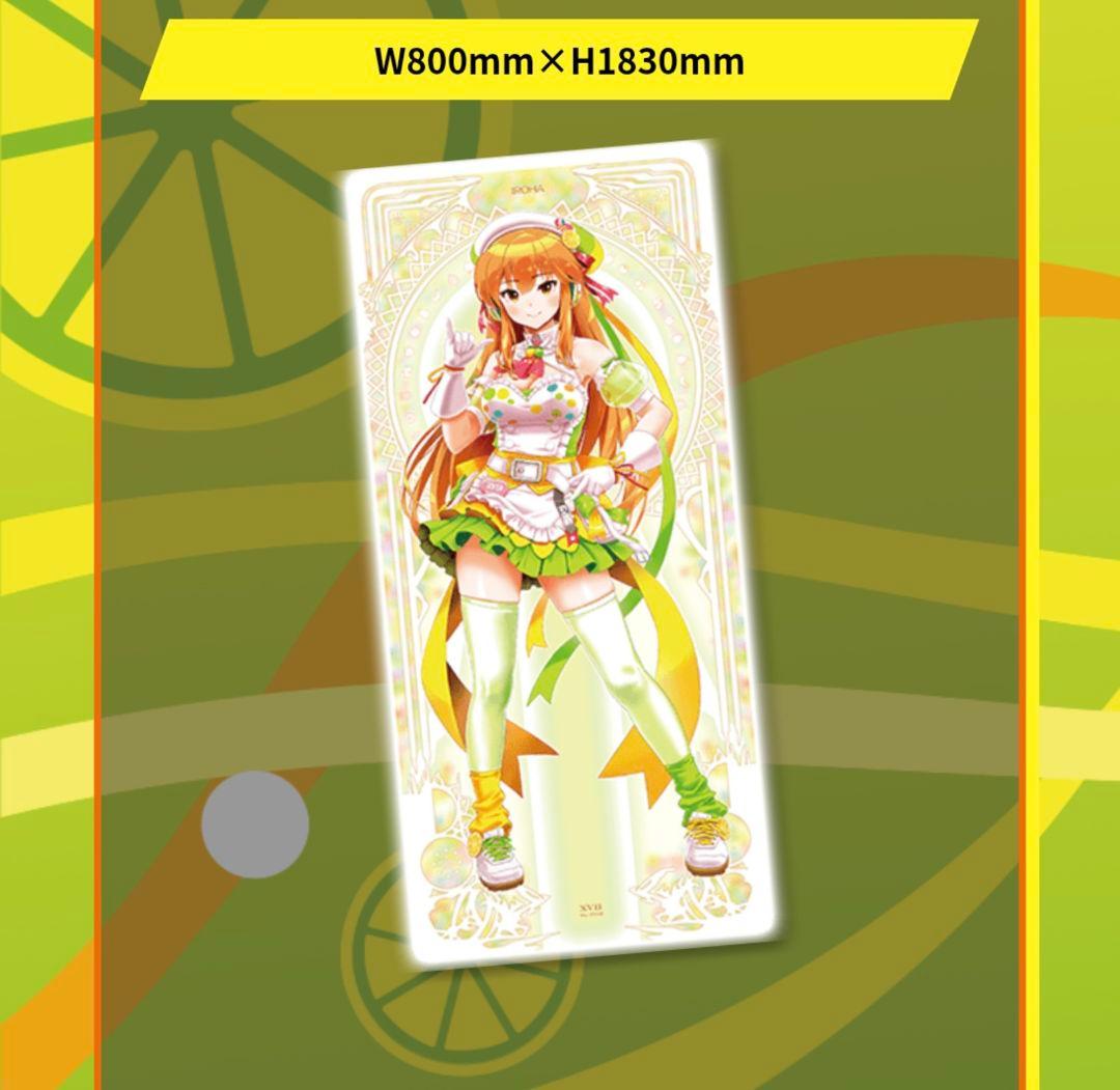 beatmaniaIIDX イロハ 等身大タペストリー