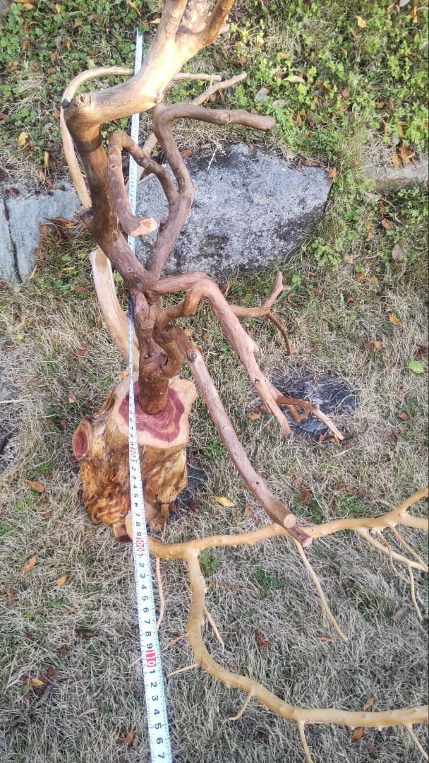 バードアスレチック　鳥用止まり木