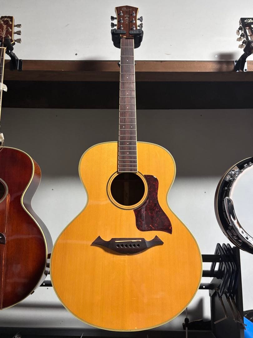 トップ単板、コルト　　セミジャンボ タイプアコースティックギター