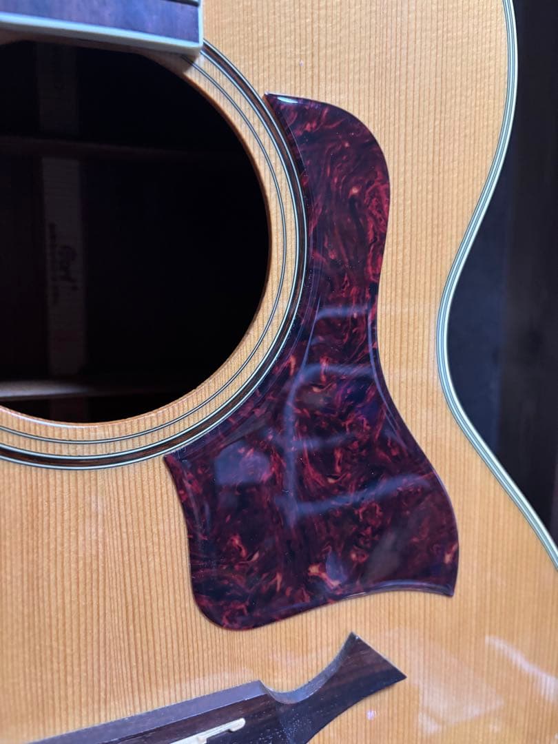 トップ単板、コルト　　セミジャンボ タイプアコースティックギター