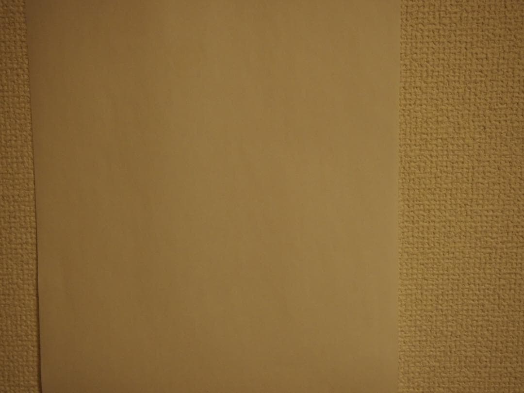 OLYMPUS オリンパス E-PM1 レンズキット