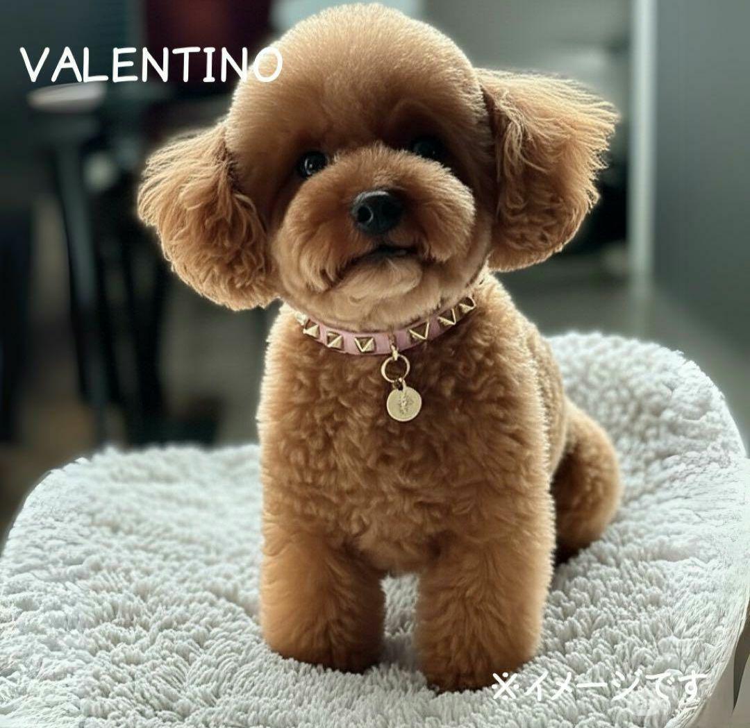 ⭐️ヴァレンティノ⭐️ 未使用　ガラヴァーニ　ペット　 犬用　首輪　スタッズ