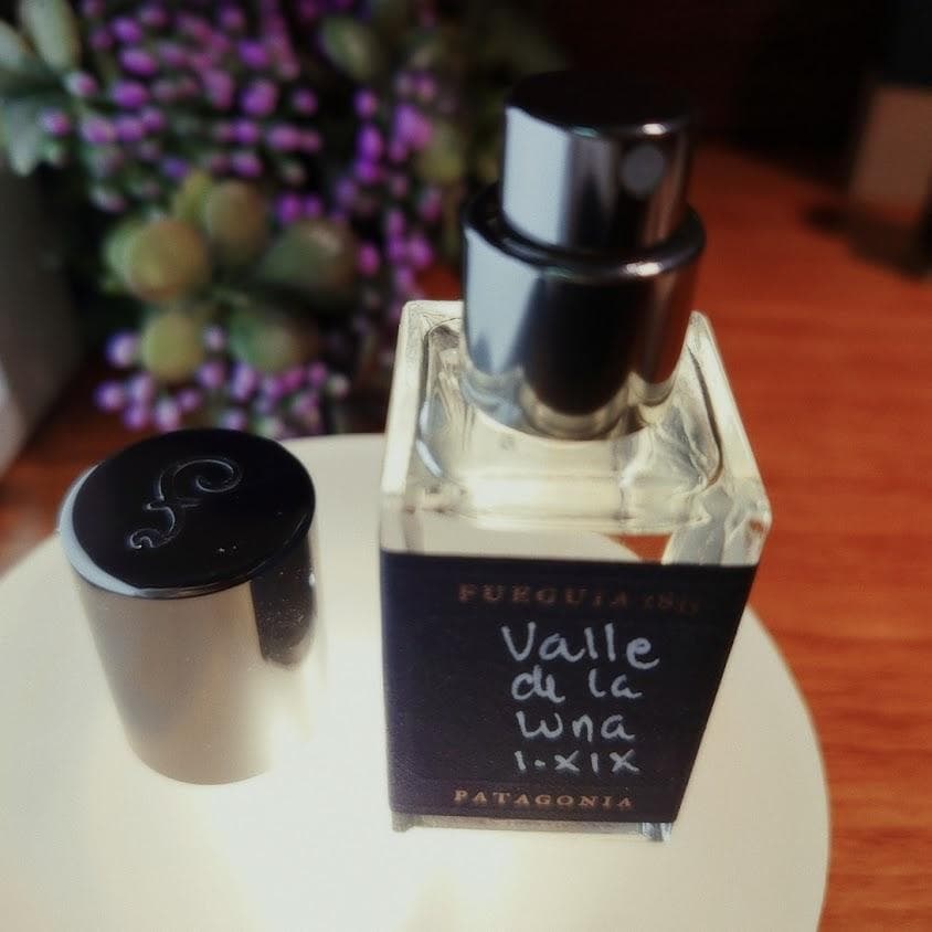 フエギア✨「バジェ デ ラ ルナ」15ml　残量多 I-XIX