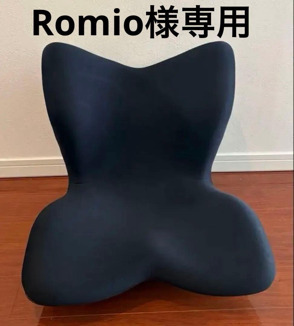 Romio【美品・数回使用のみ】スタイルプレミアム