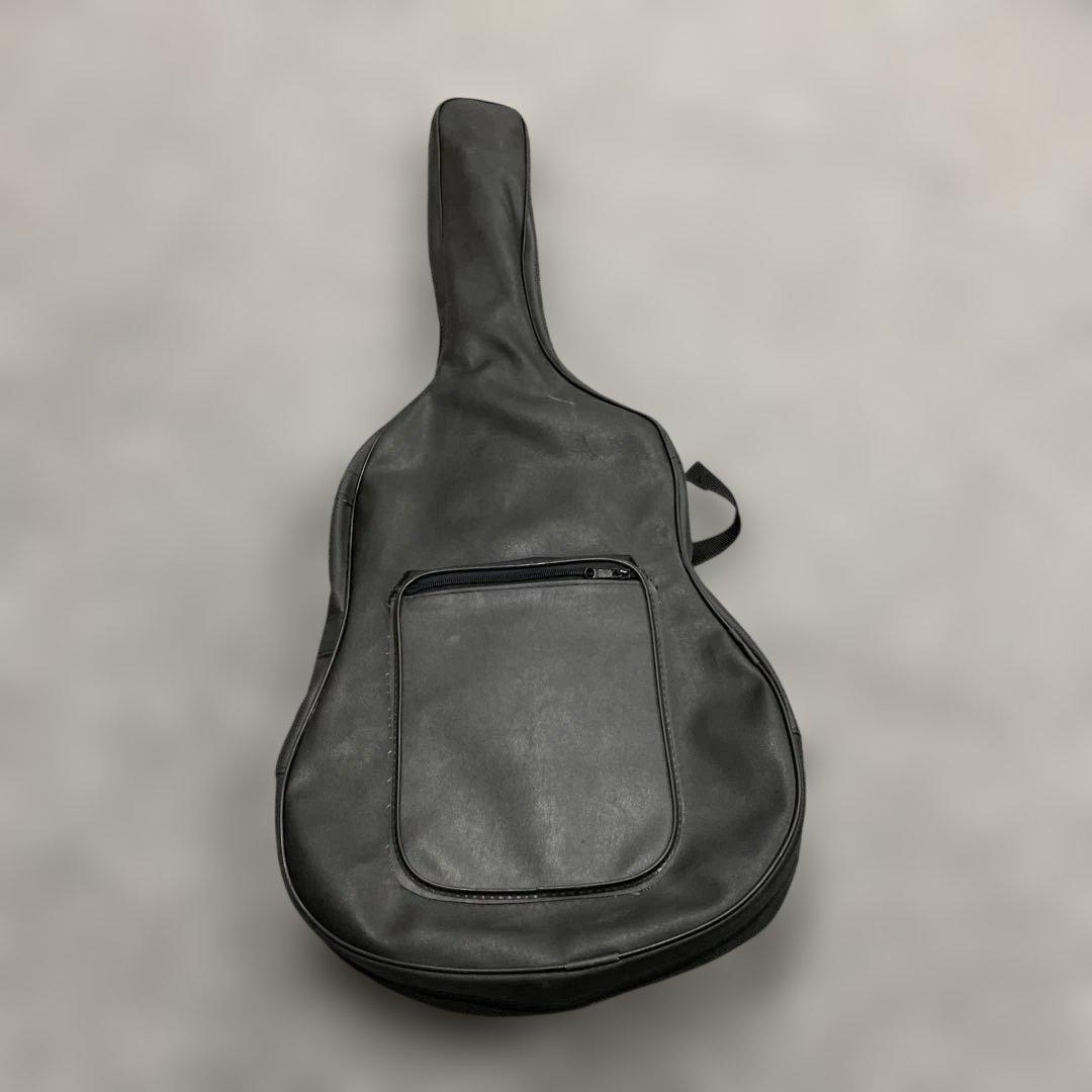 Sepia Crue Custom アコースティックギター