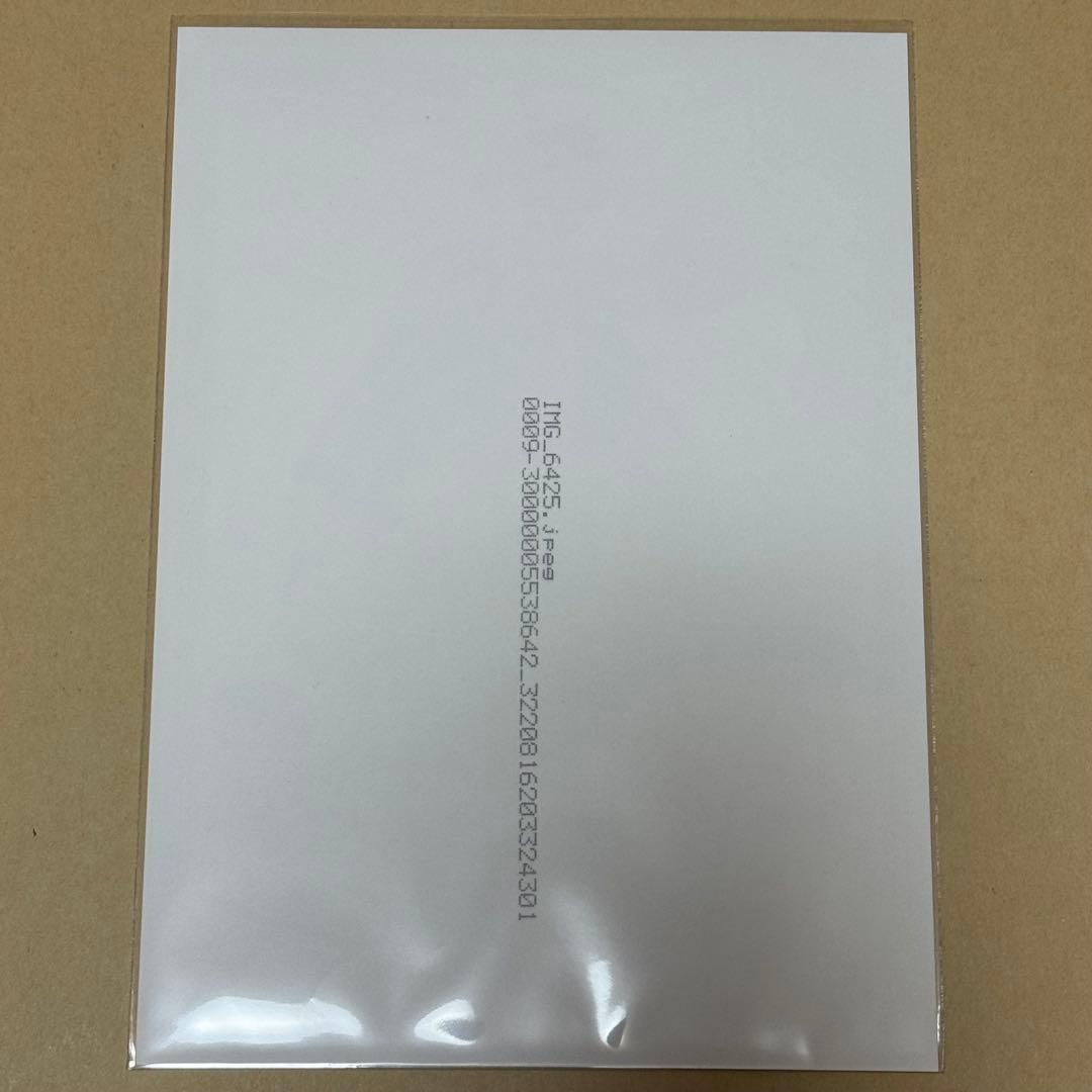 パンダドラゴン パラゴン なるき アクスタ アクスタ 写真