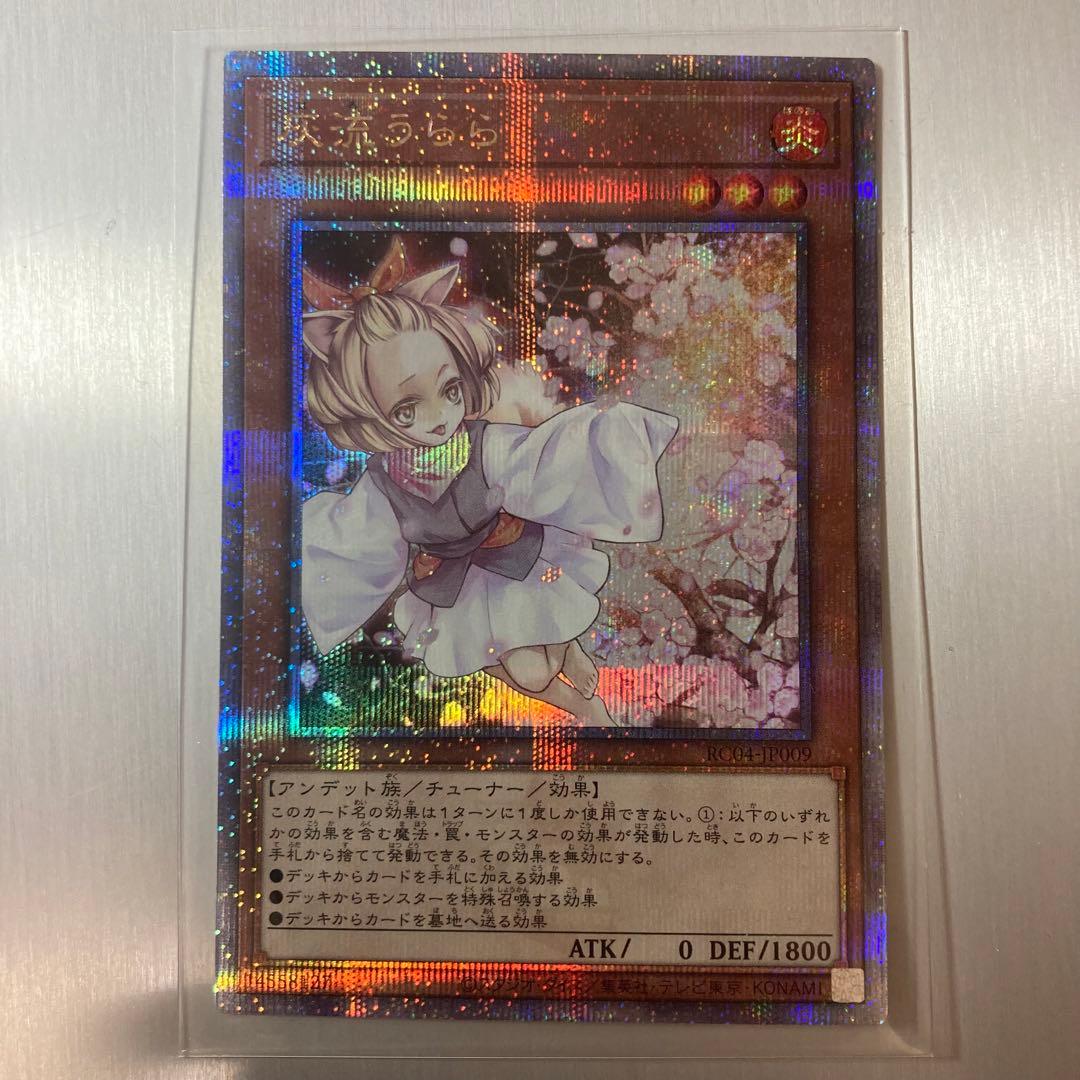 灰流うらら 25th クオシク シークレット