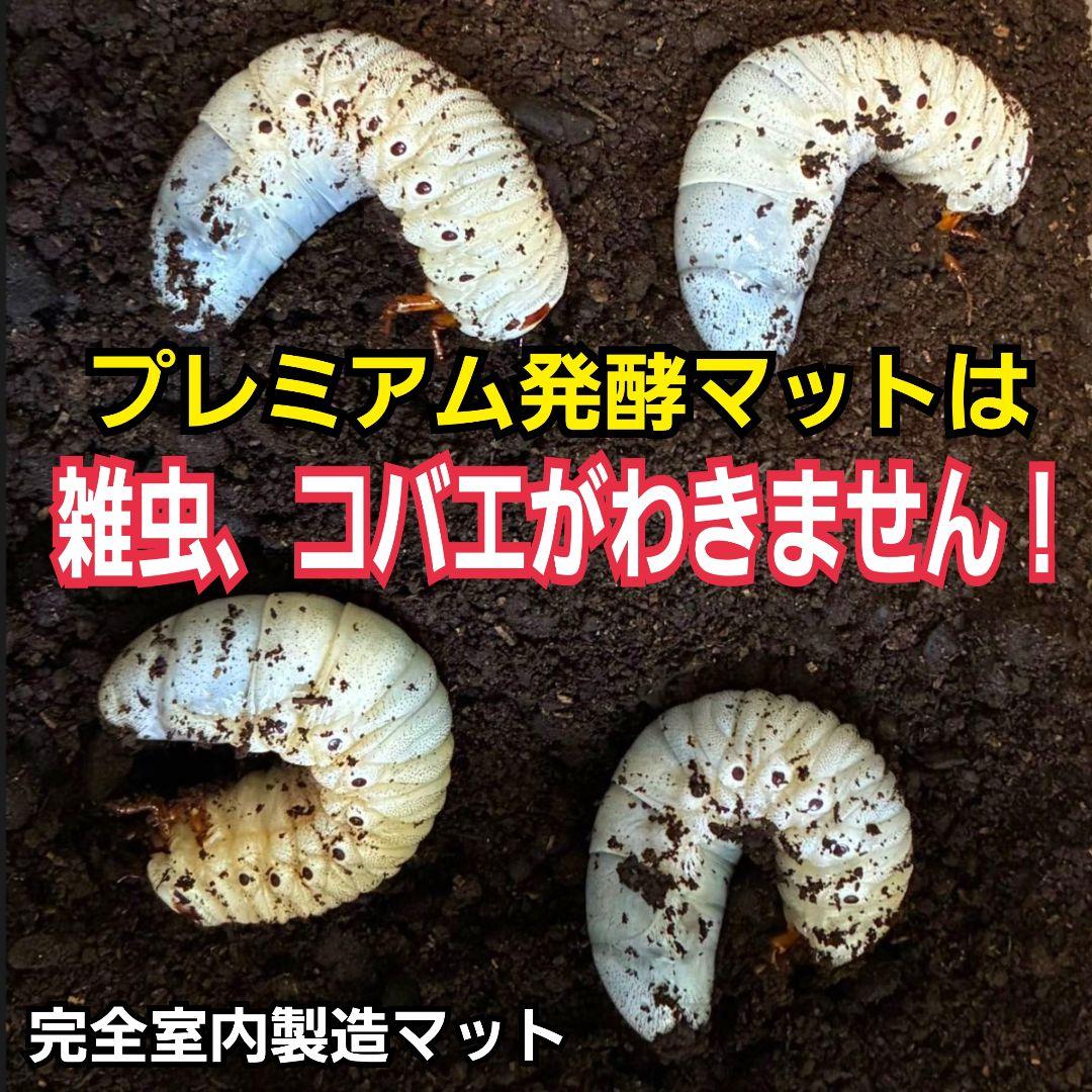 極上！プレミアム3次発酵カブトムシマット【80リットル】幼虫の餌、産卵にも抜群！