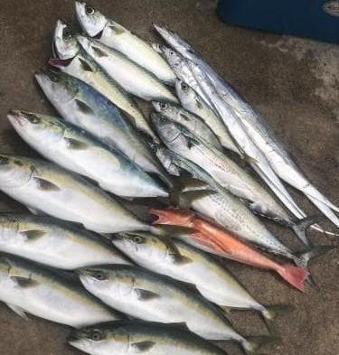 タングステン ジグ 150g 3本 ジギングフック サービス タイジグ　タイラバ