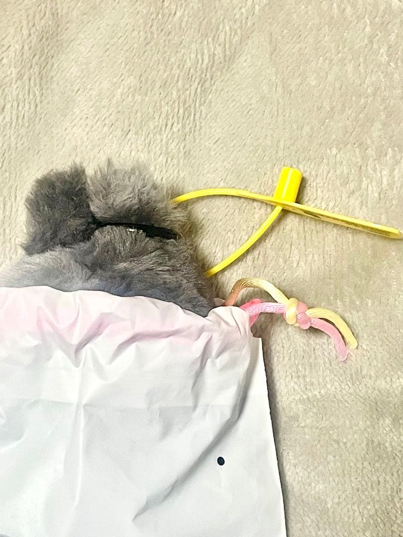 正規品LABUBU ラブブシークレット エナジー