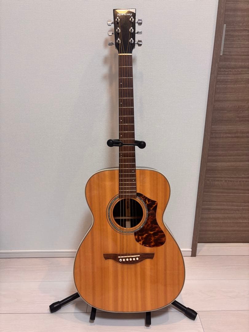 HISTORY NTS3 アコースティックギター ハードケース付き