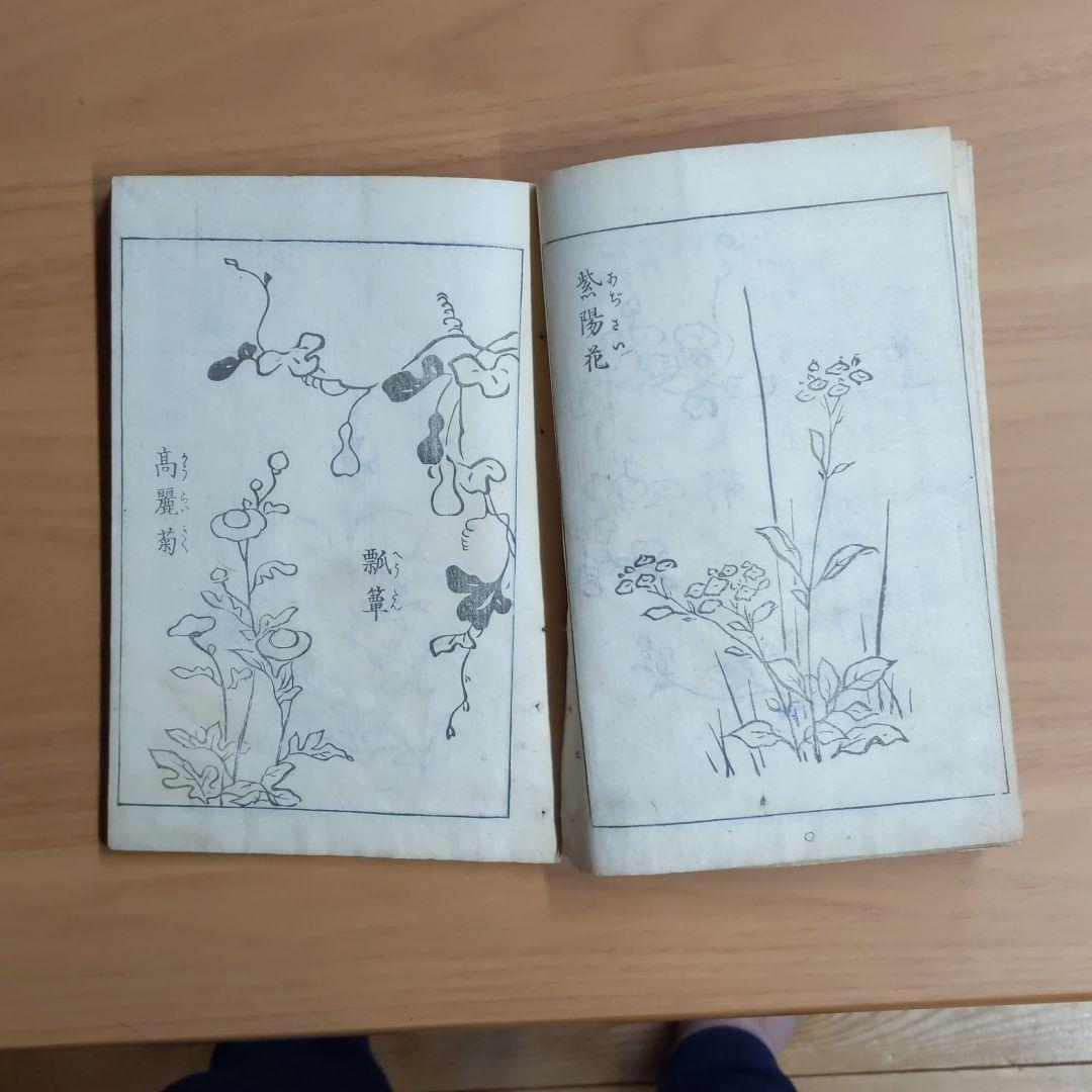 神事行燈　尾形光琳漫画