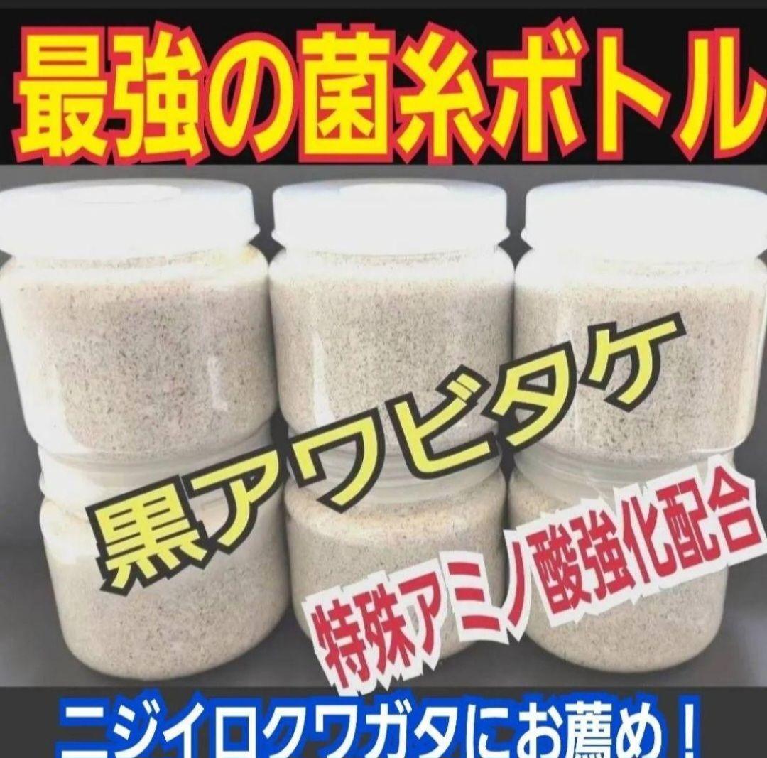 ニジイロクワガタに抜群！黒アワビタケ菌糸瓶【8本】トレハロース、キトサン配合！