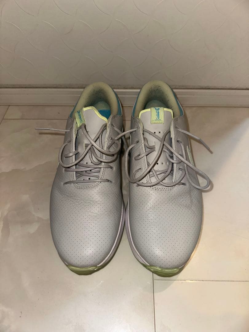 Nike ゴルフシューズ スパイク