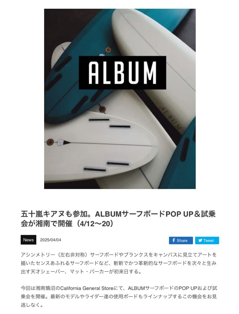 ALBUM アルバムサーフボード　twinsman ツインズマン