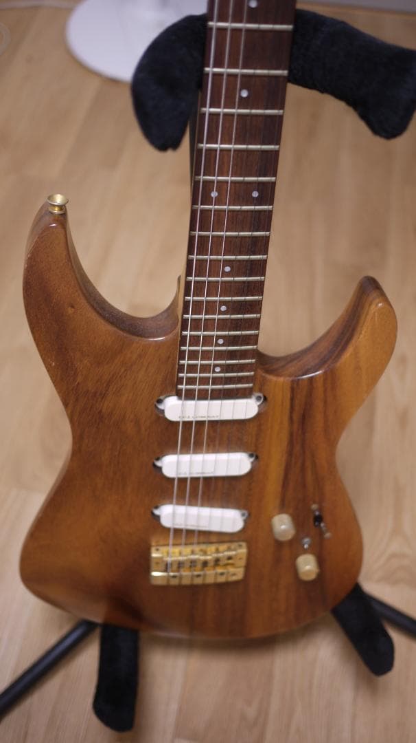 FERNANDES REVOLVER FR-100 モンキーポッド