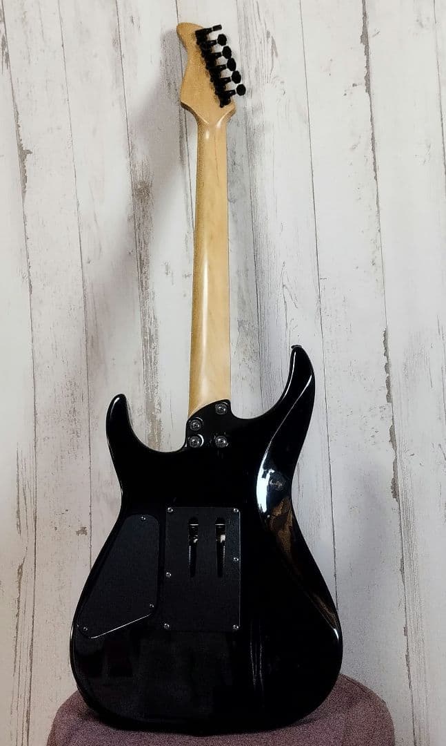 FERNANDES FR-55 FRT-8 フェルナンデスリボルバー