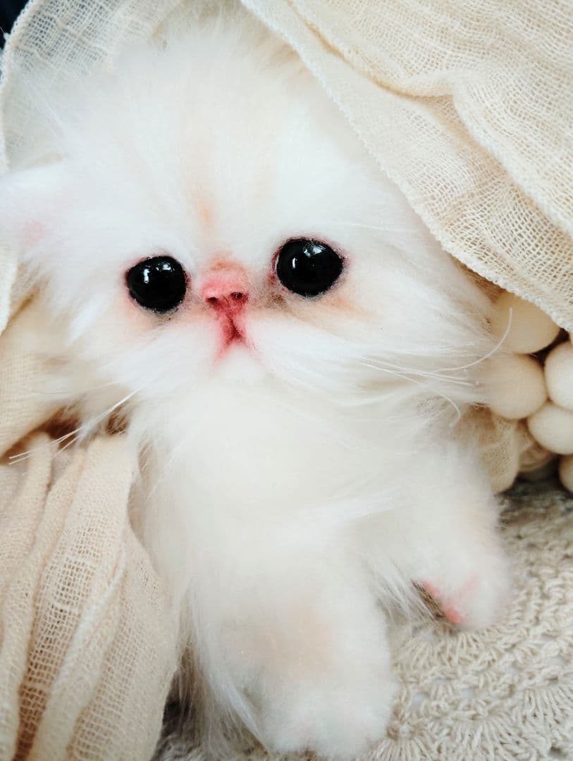 エキゾチック♡子猫のぷんちゃん♡アートドール♡ぬいぐるみ♡