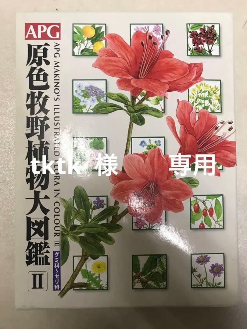 APG 牧野植物大図鑑II 未使用品