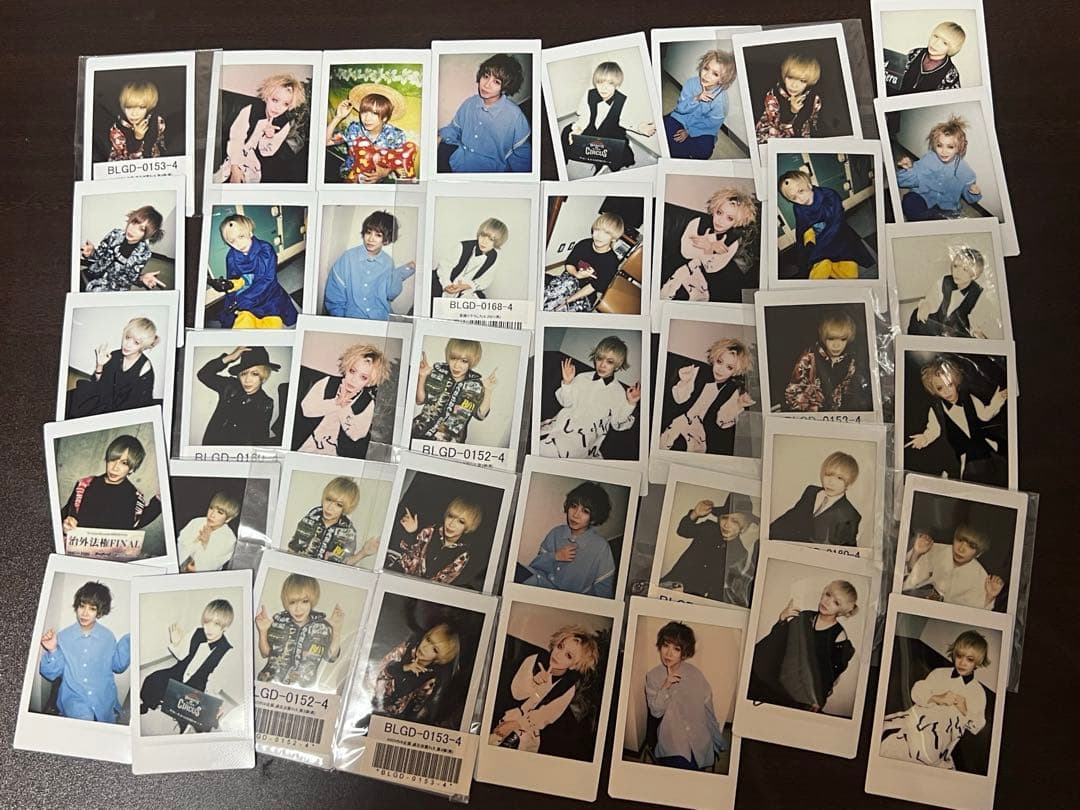 BugLug 燕さん チェキ 41枚セット