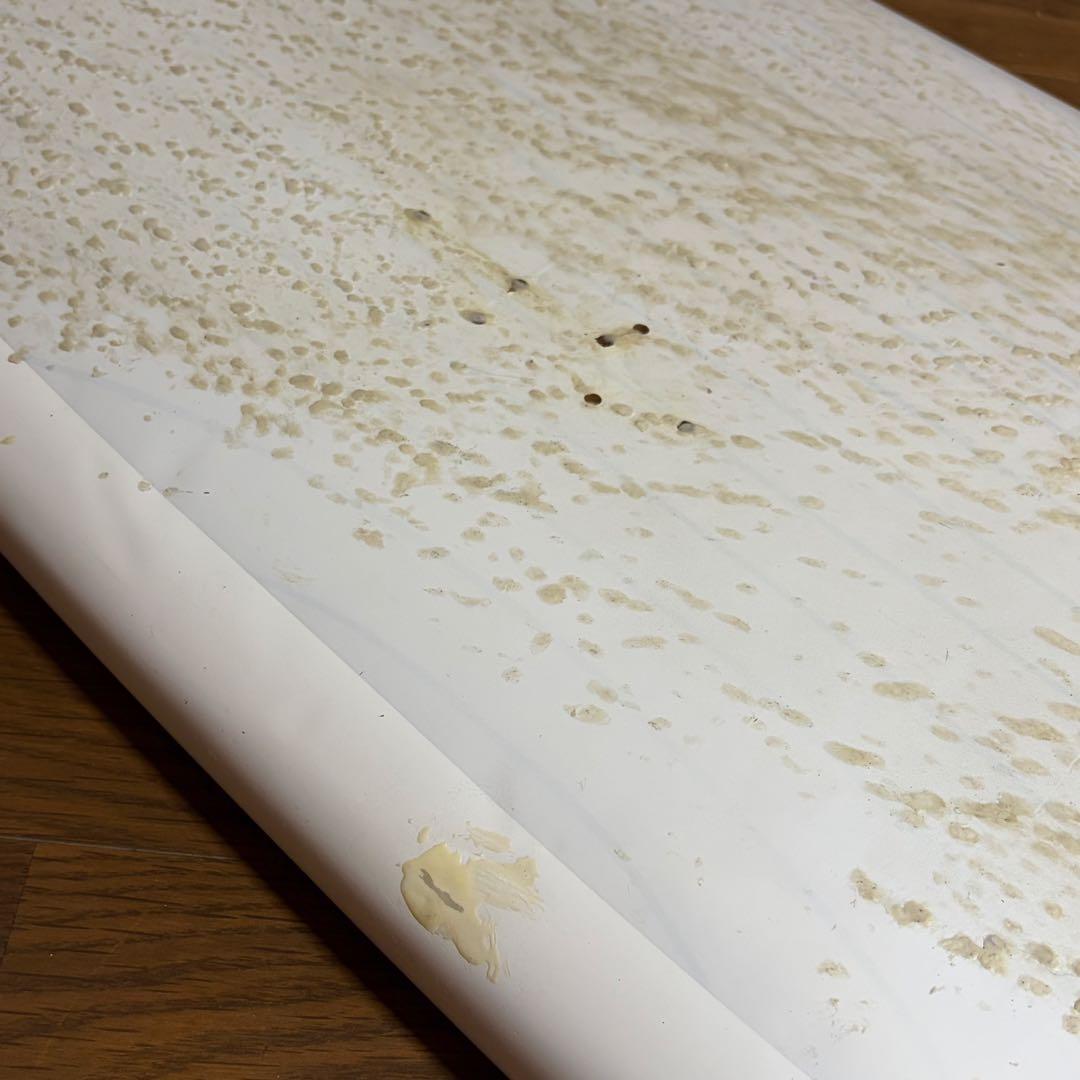 サンタクルーズ サーフボード パンプキン6'4\" ショートボード ファンボード