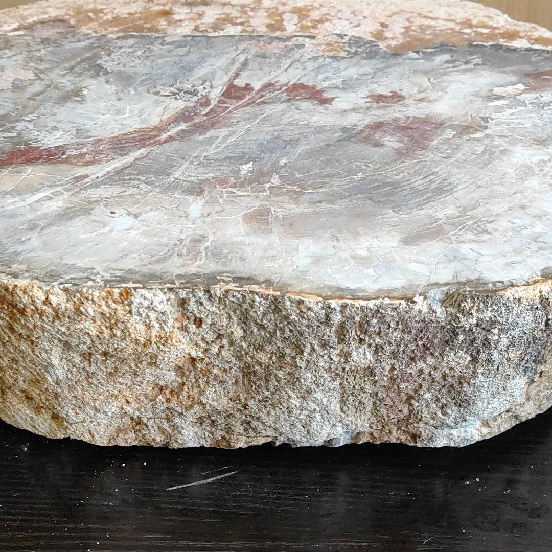 超特大の珪化木の化石です。