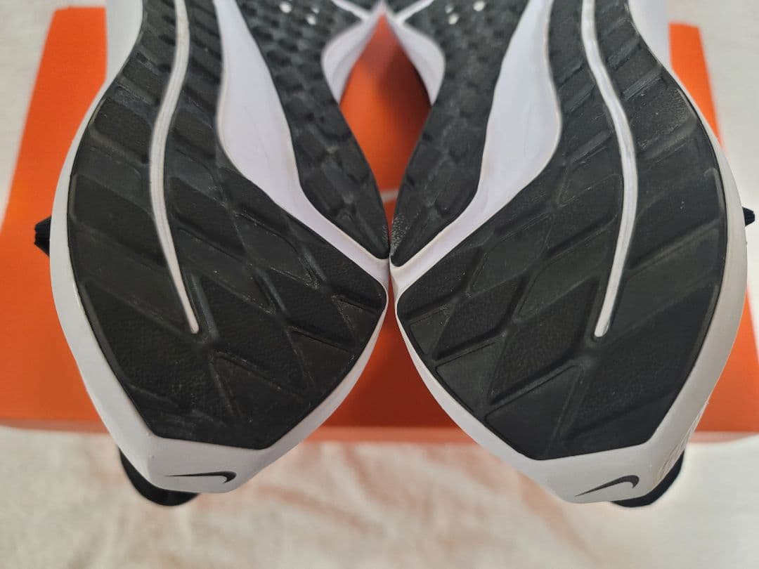 ナイキ ランニングシューズ エア ズーム ペガサス フライイーズ　25cm