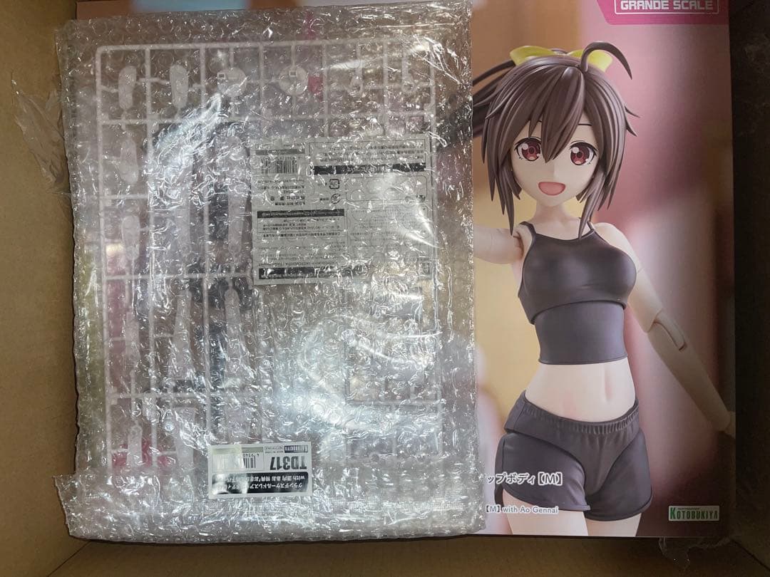 グランデスケール ドレスアップボディ　源内あお　ショップ特典つき