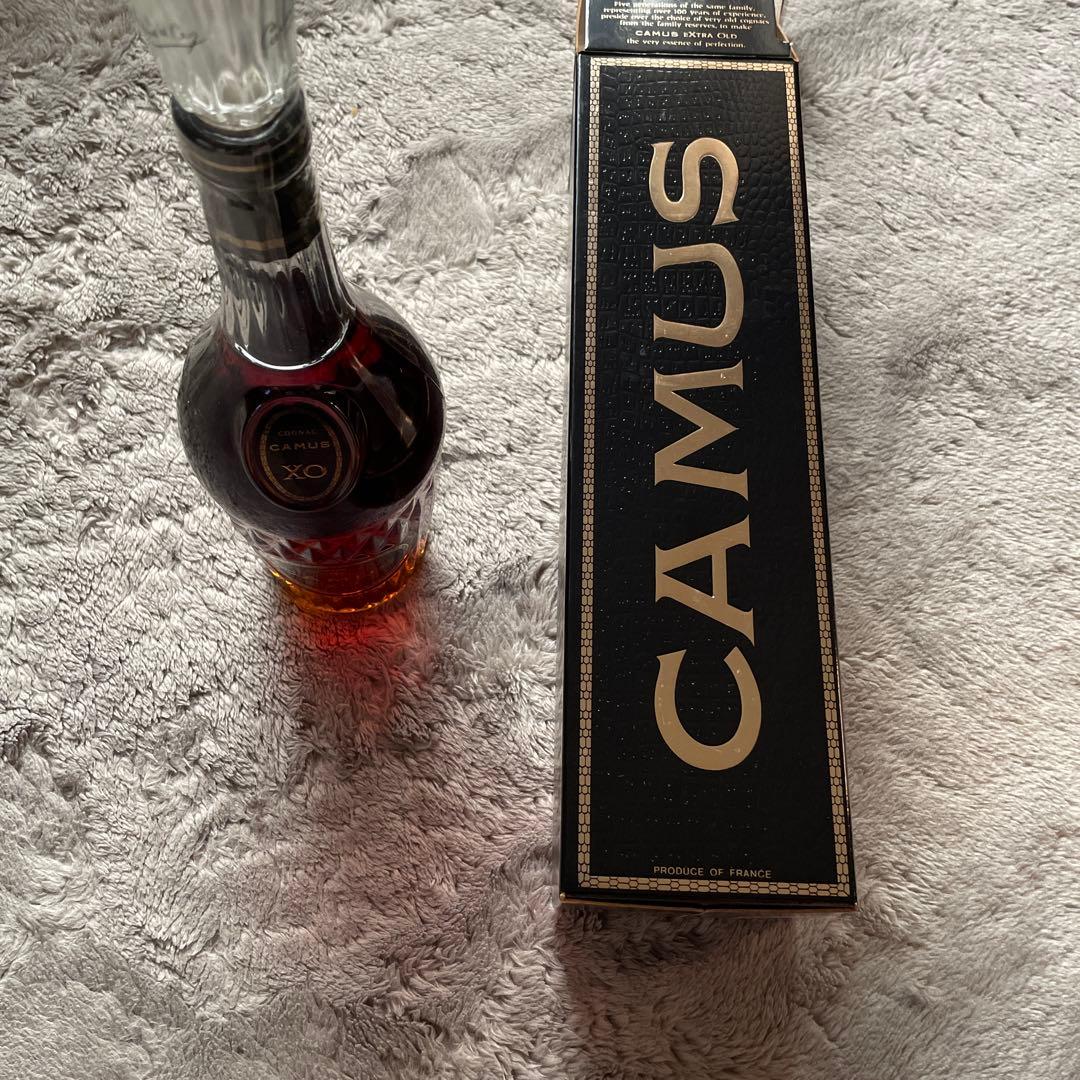 CAMUS & OTARD XO コニャックセット