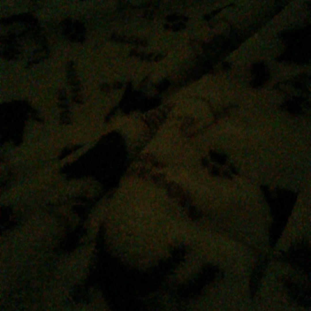 犬用フリース毛布 犬の足跡模様