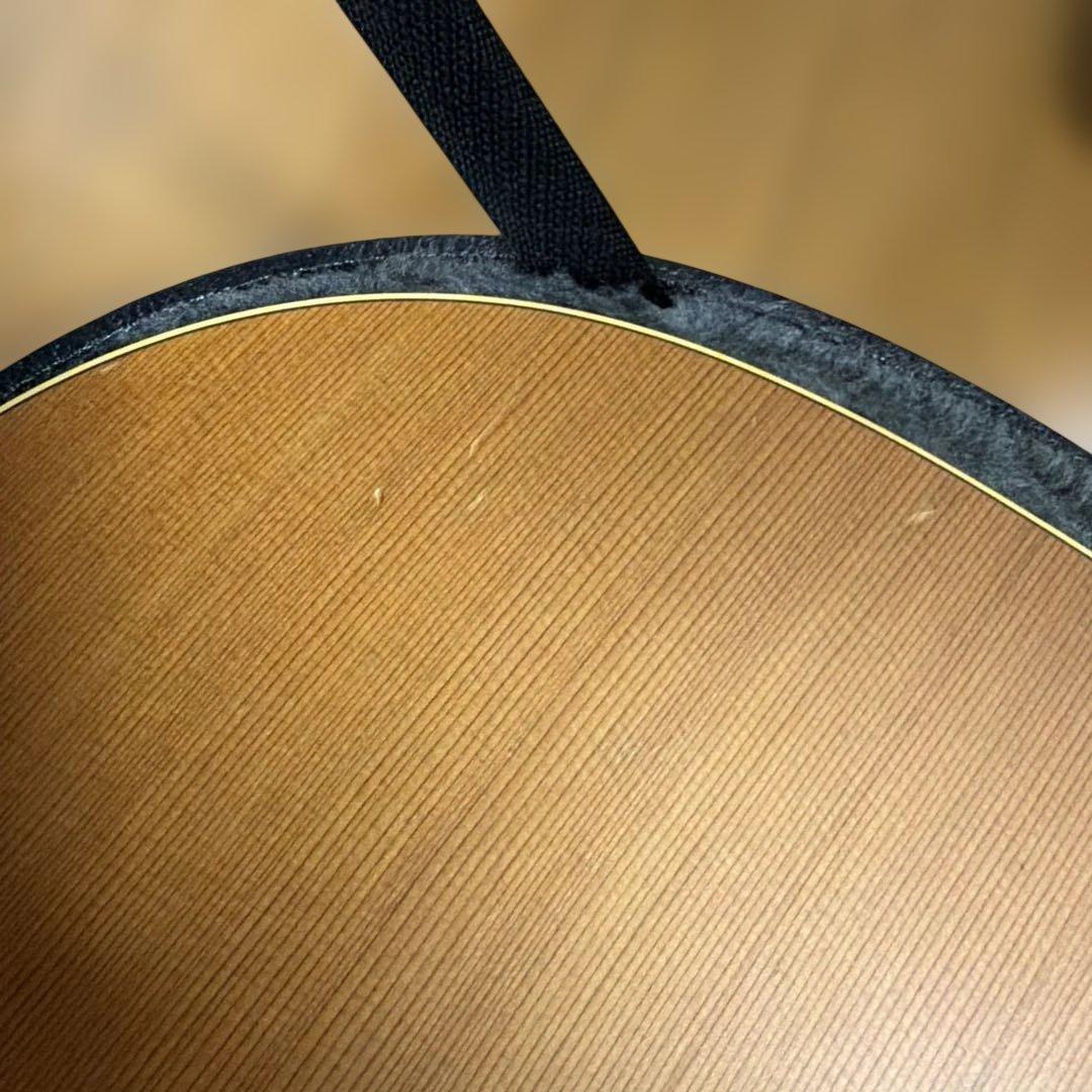 アコースティックギター ハードケース付き　シーガル　S6＋FOLK