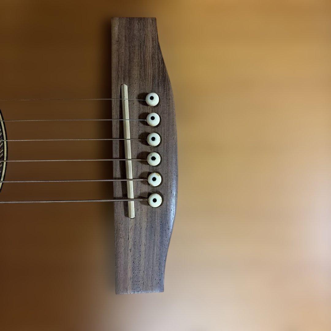 アコースティックギター ハードケース付き　シーガル　S6＋FOLK