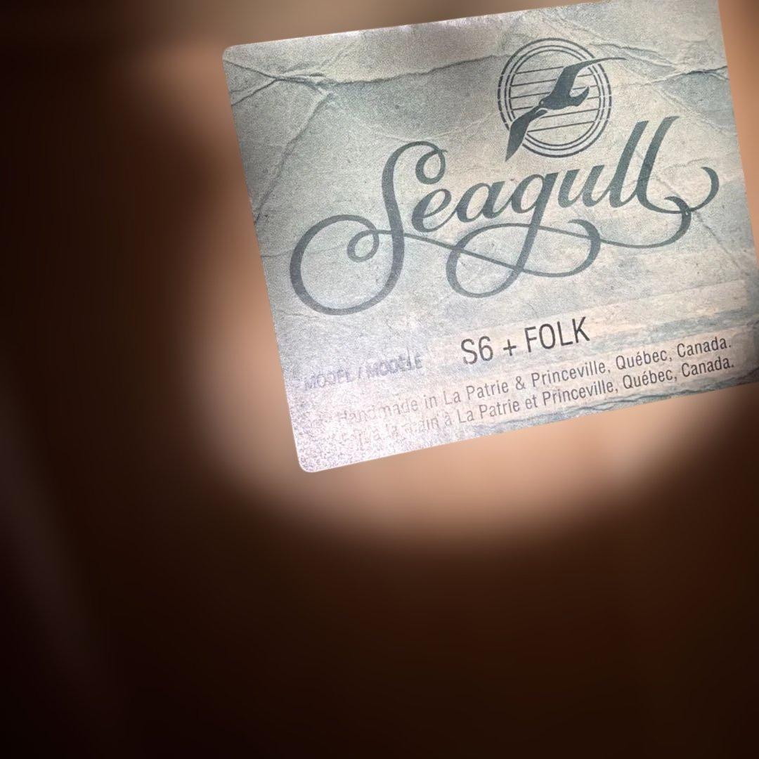 アコースティックギター ハードケース付き　シーガル　S6＋FOLK