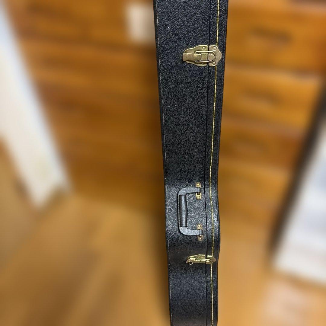 アコースティックギター ハードケース付き　シーガル　S6＋FOLK