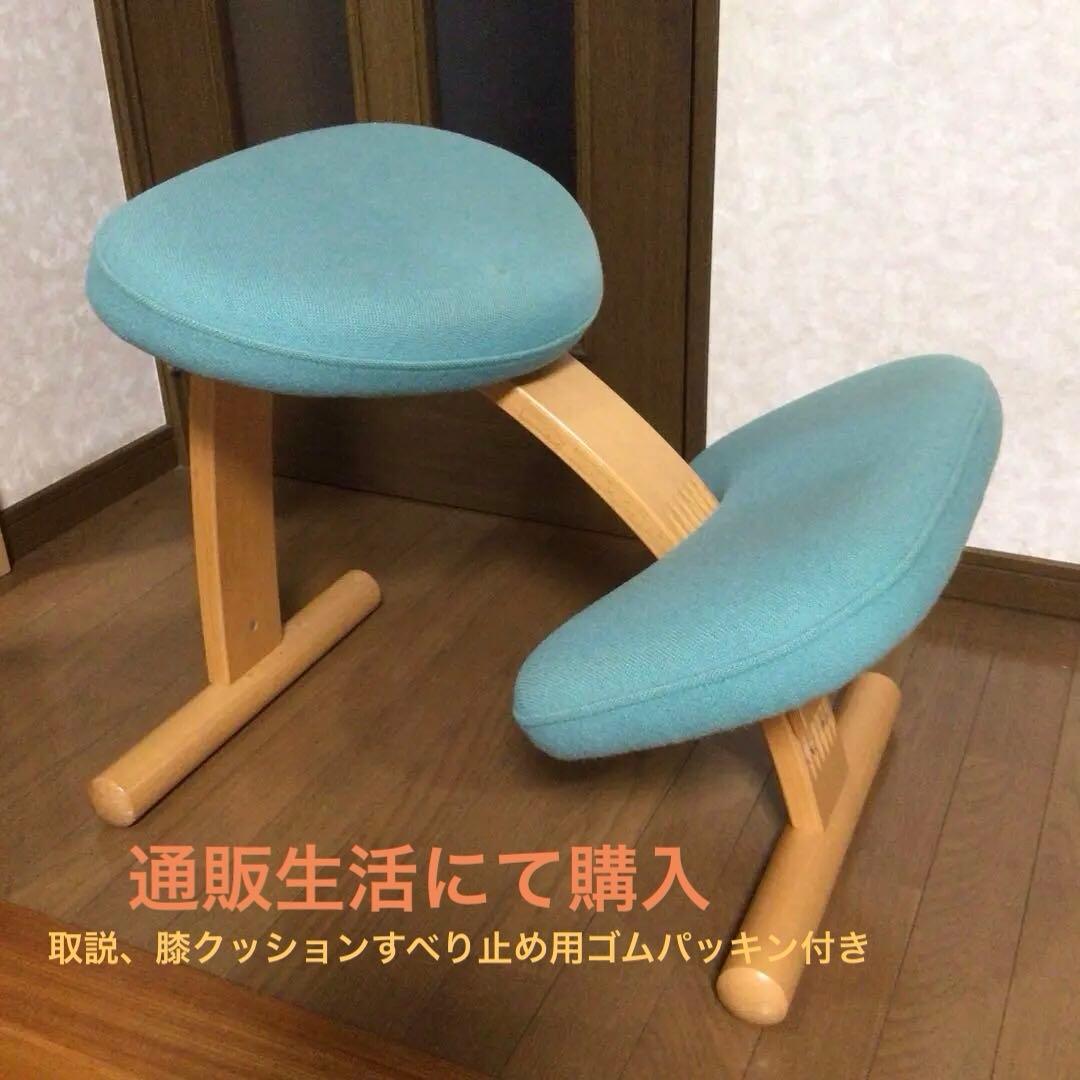 こ*ん様 水色　Rybo リボ社 バランスチェアイージー　取扱説明書付き　通販生