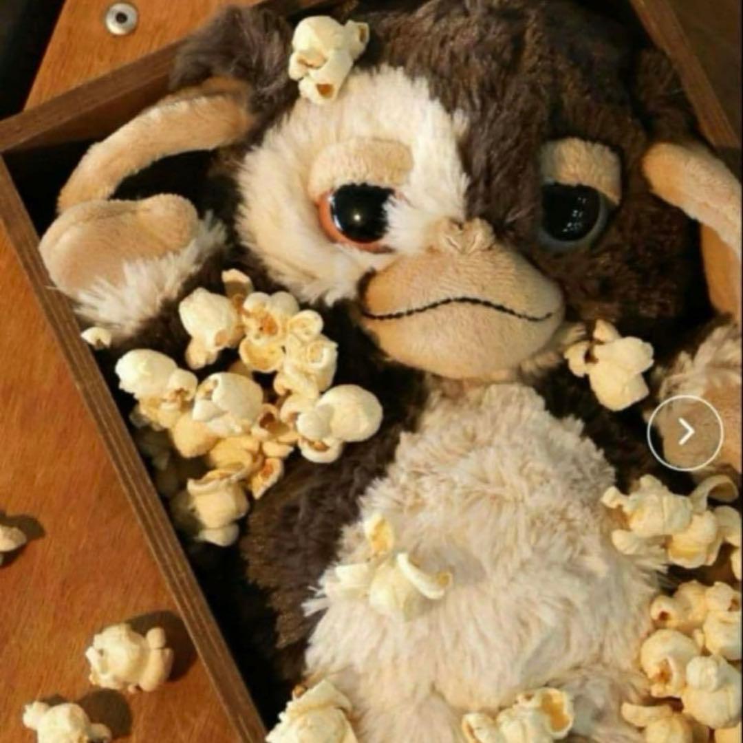 ベイフロー　ギズモ　ぬいぐるみ