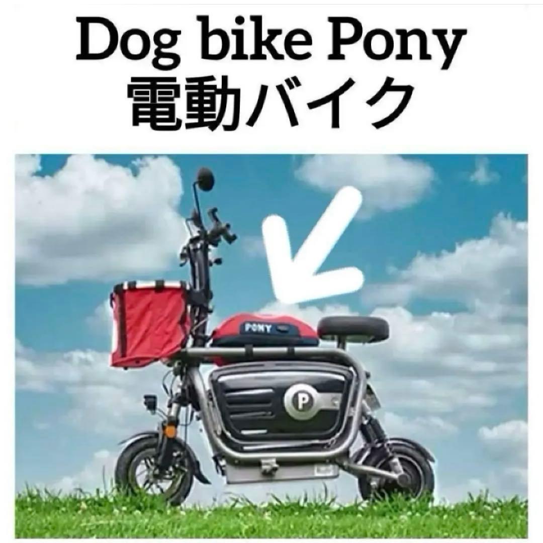 PONY 純正 ボディバッグ 完全防水 多機能 斜め掛け レッド