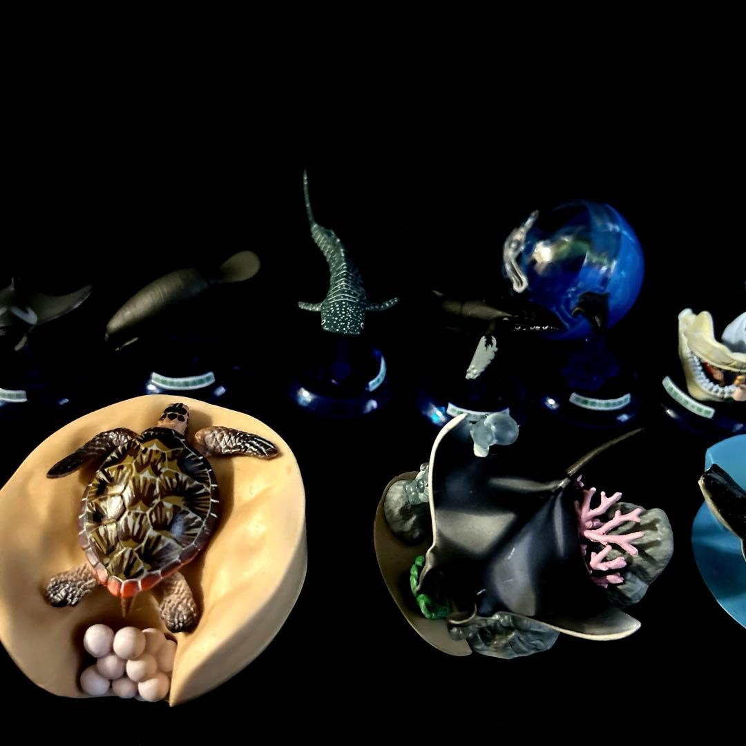 激レア 沖縄美ら海水族館 カプセルフィギュアコレクション