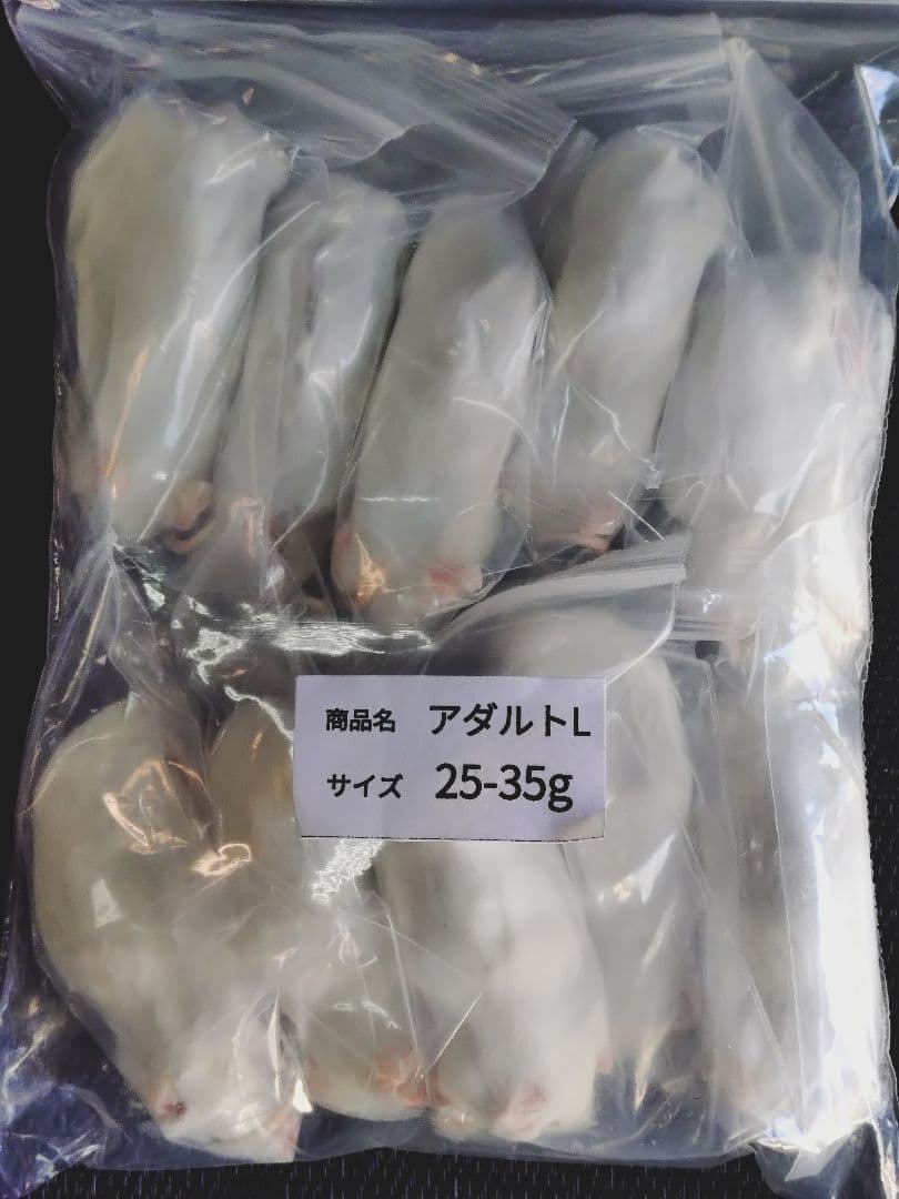 豆　送料無料　冷凍マウスアダルトＬ30匹ピンクS20匹フタホシ200グラム