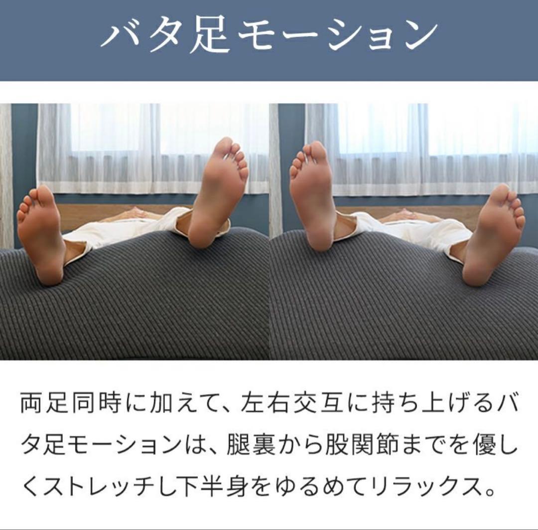 Airtech Sleeper エアテックスリーパー　BlueBlood　新品