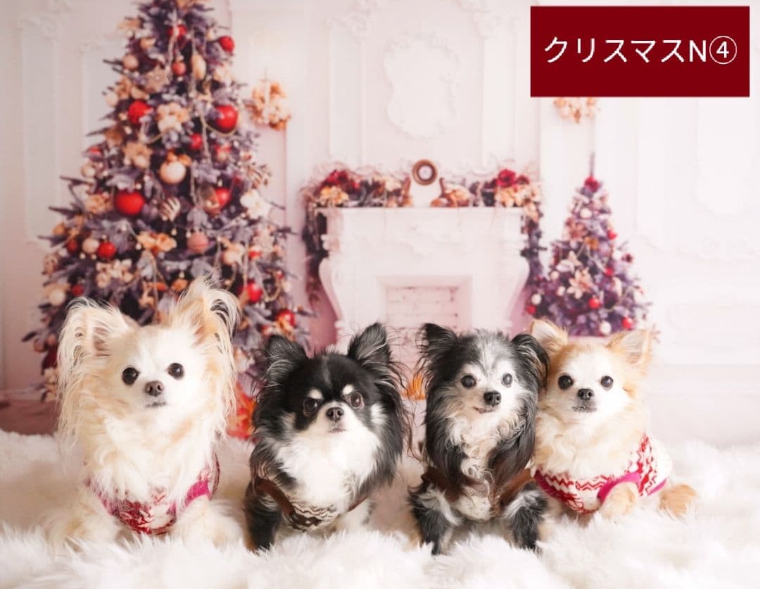 背景布【ガーデンG】サンプル　ペット、ドール撮影用ブース　薔薇　紫陽花　梅雨