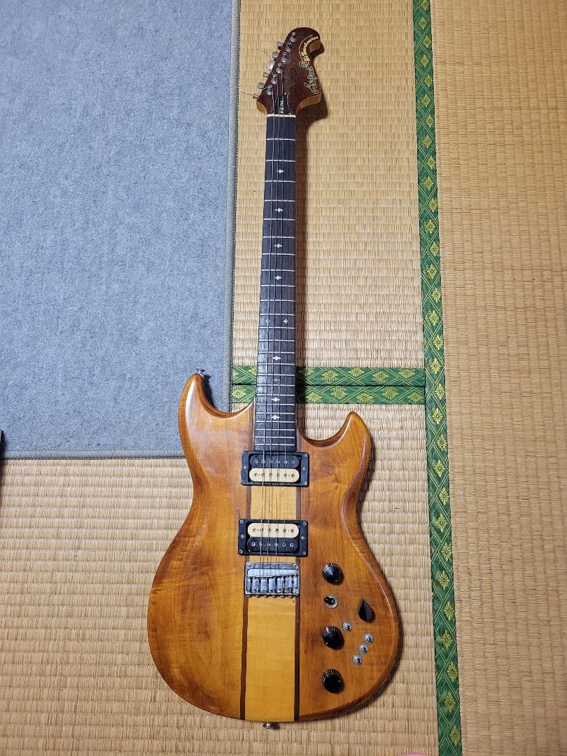 Aria pro TS500スタンダードシリーズ エレキギター