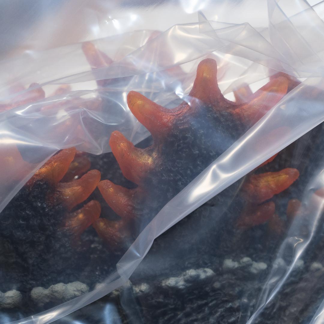 【内容物未開封】ギガンティックシリーズ ゴジラ(1995) ファイナルバトル