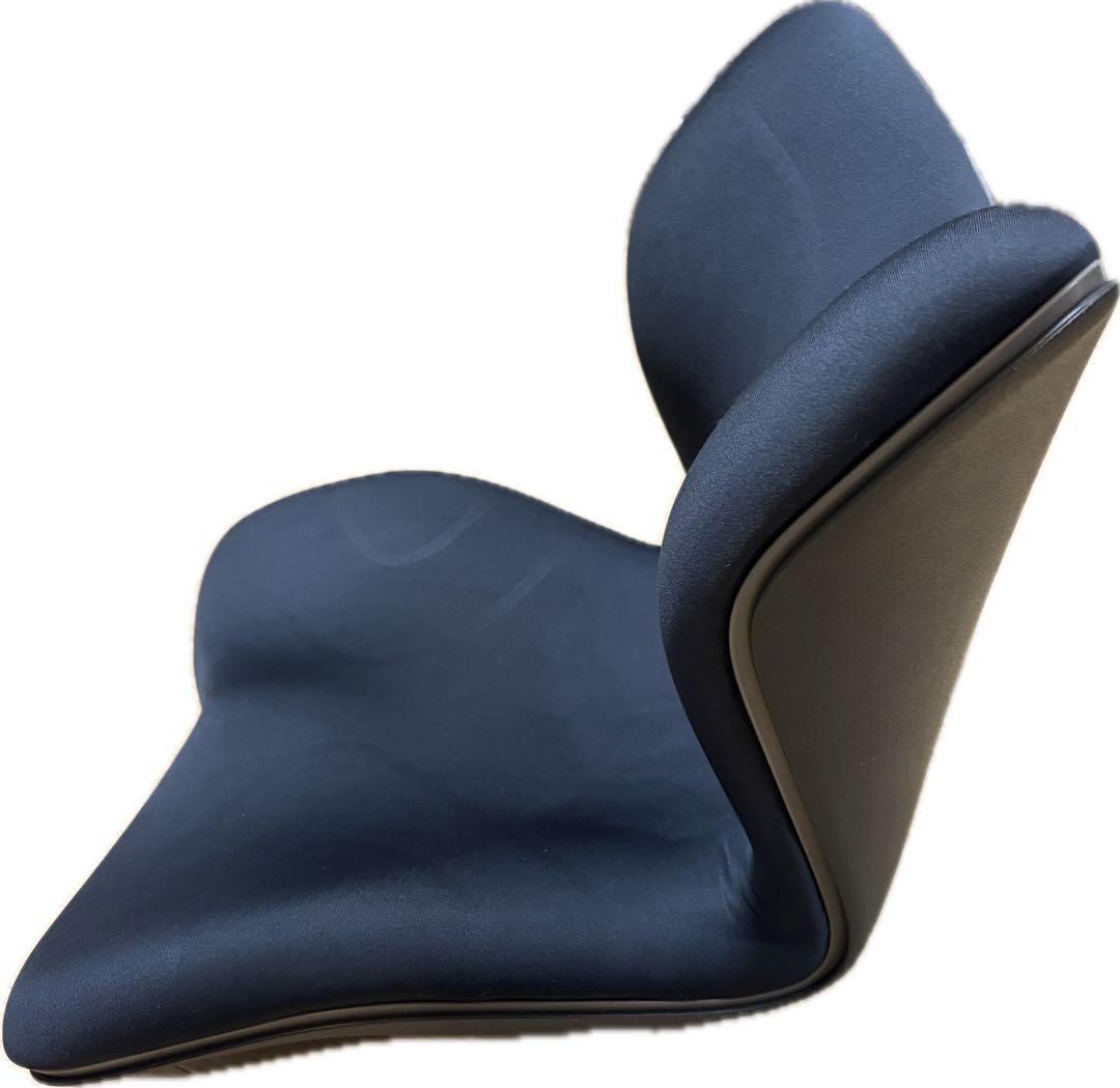 スタイルプレミアム ブラックStyle PREMIUM MTG 骨盤