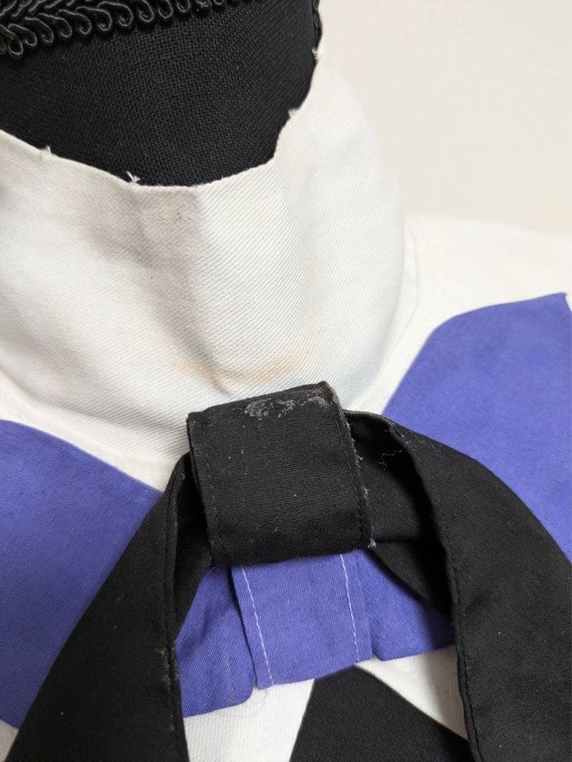 ポケモン ZA ムク コスプレ 衣装 ウィッグ フルセット