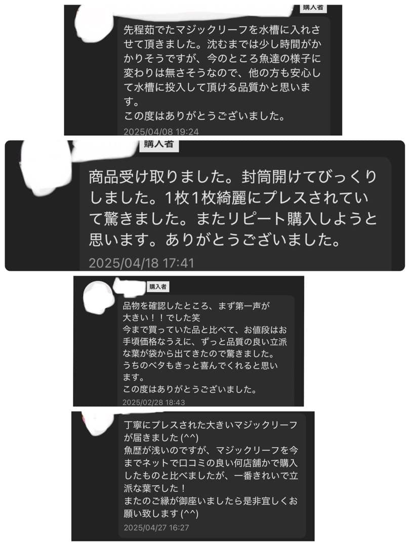 沖縄県やんばる産マジックリーフ 1kg UV殺菌灯照射済み⑤